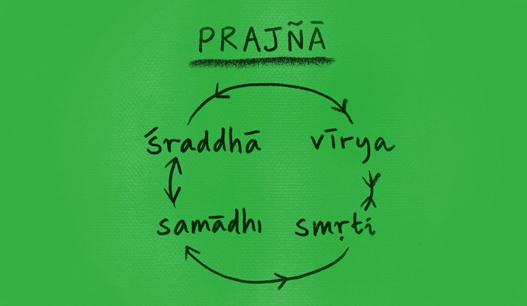 Practical Patañjali – March 2022