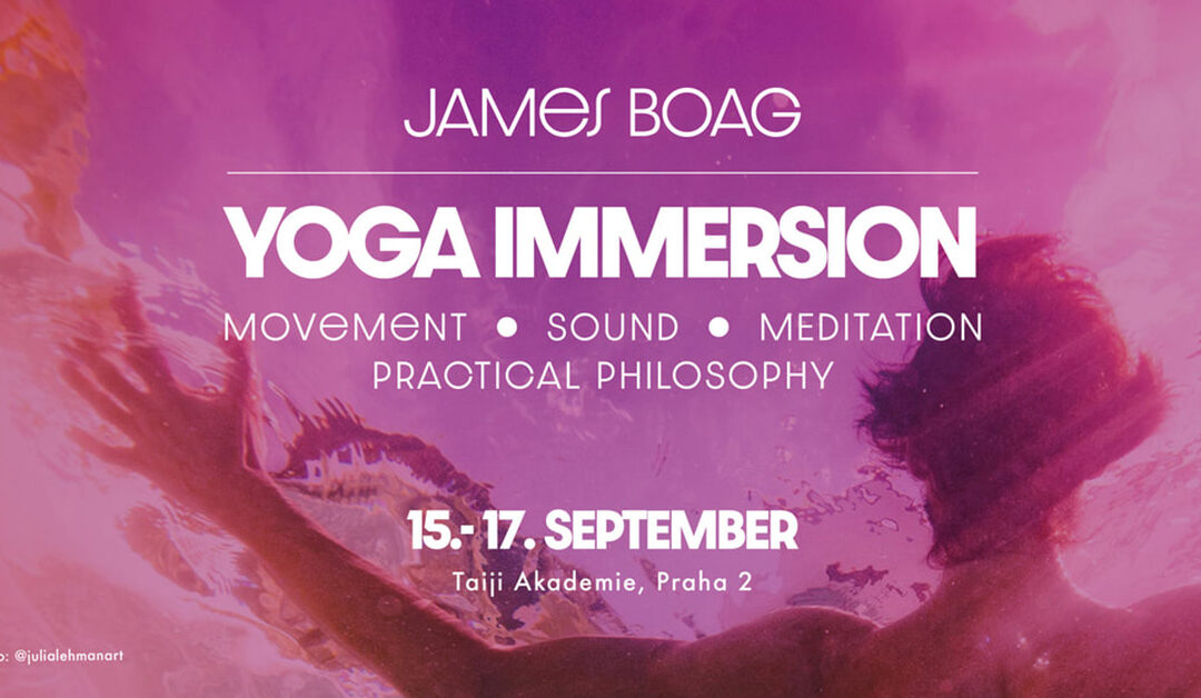 Yoga Immersion Q&A