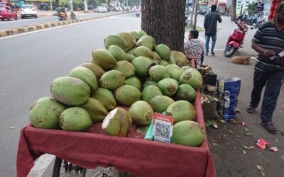 Lessons from India – Insight at the Coconut Stand